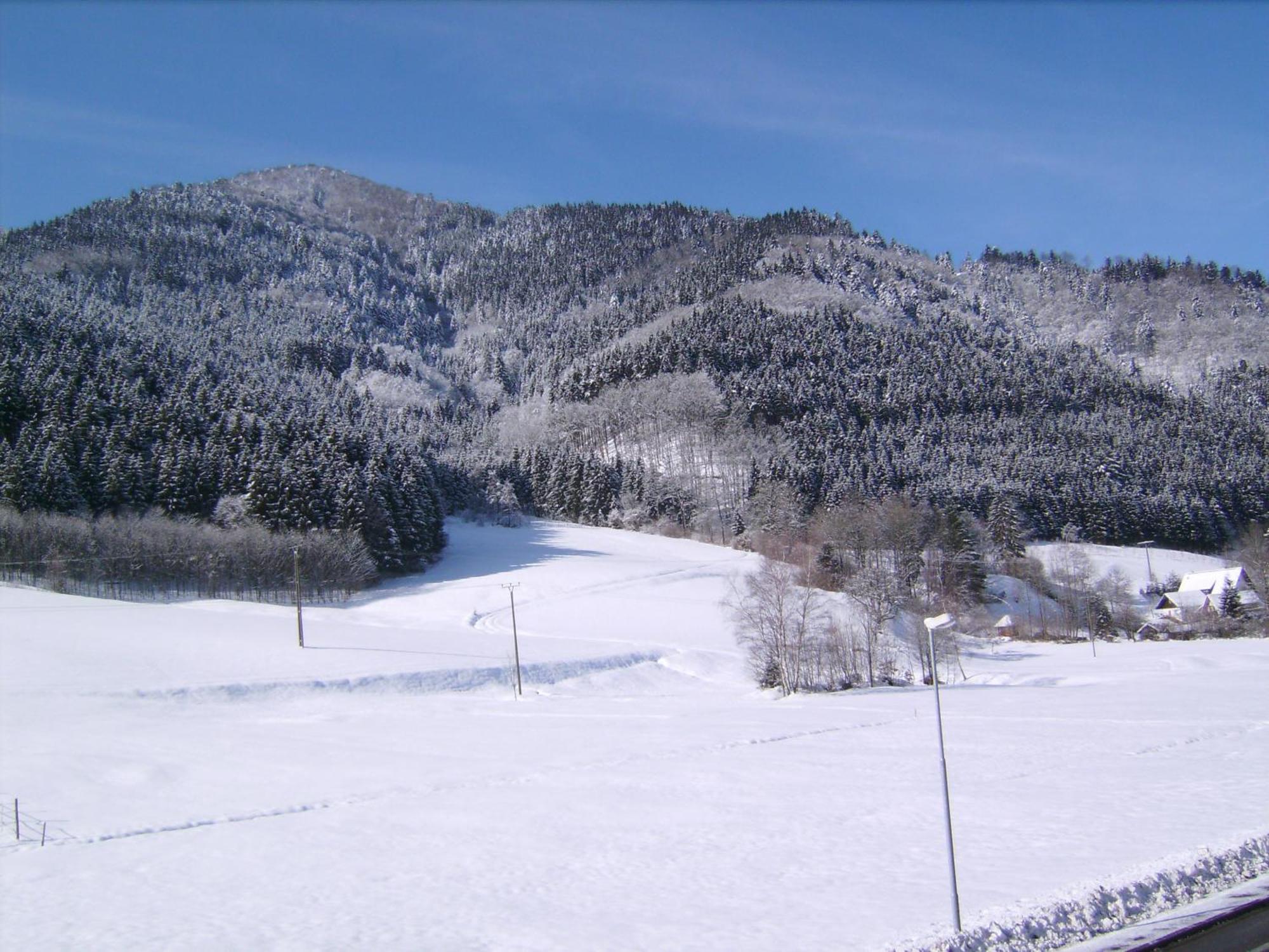 Gasthaus Zur Erle Simonswald Exteriér fotografie